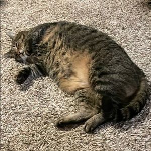 Meet your Posher, Evan